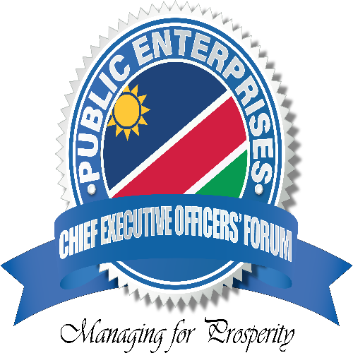 Public Enterprises CEO's Forum